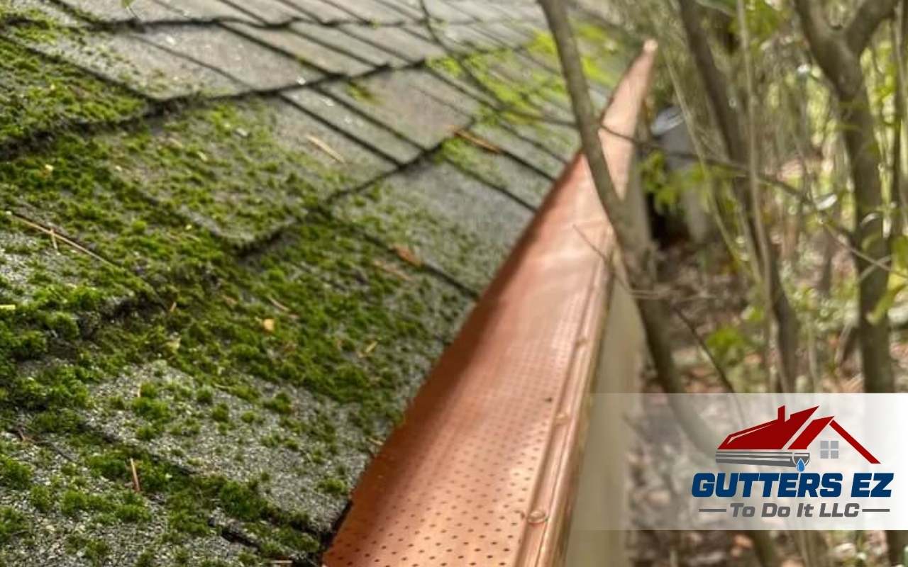 Seasonal gutter cleaning tips to prevent clogs and protect your home from costly water damage.